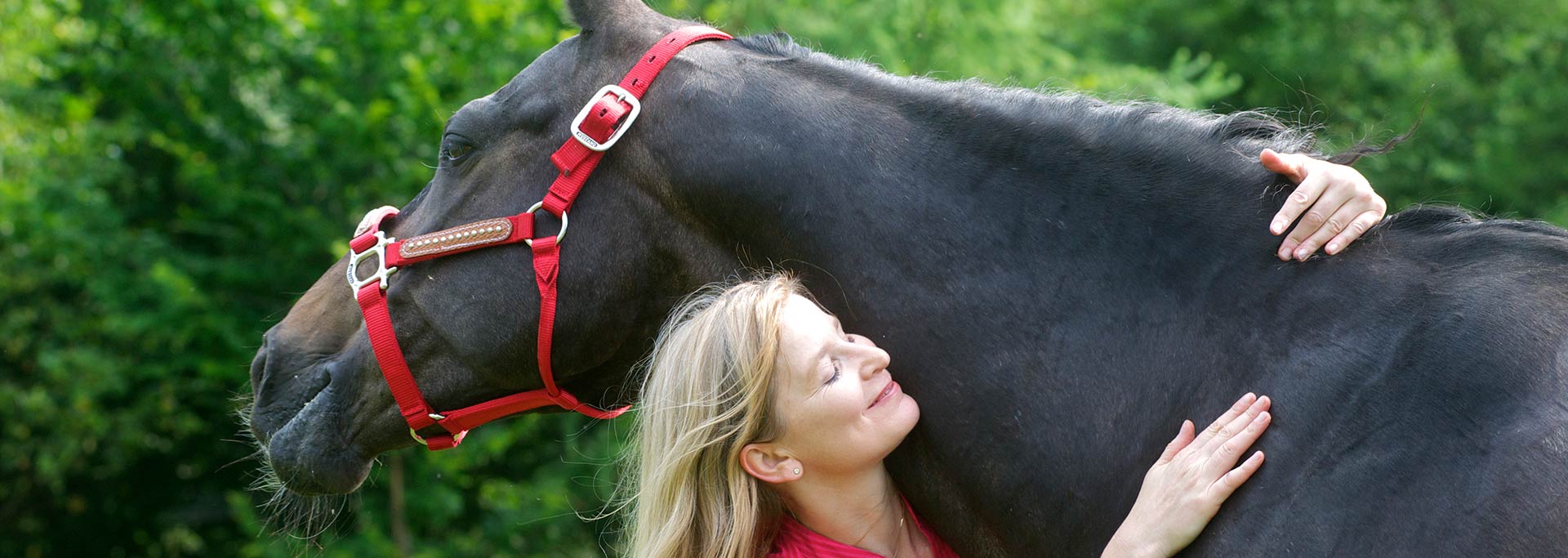 Osteopathische Behandlung von Pferd und Reiter